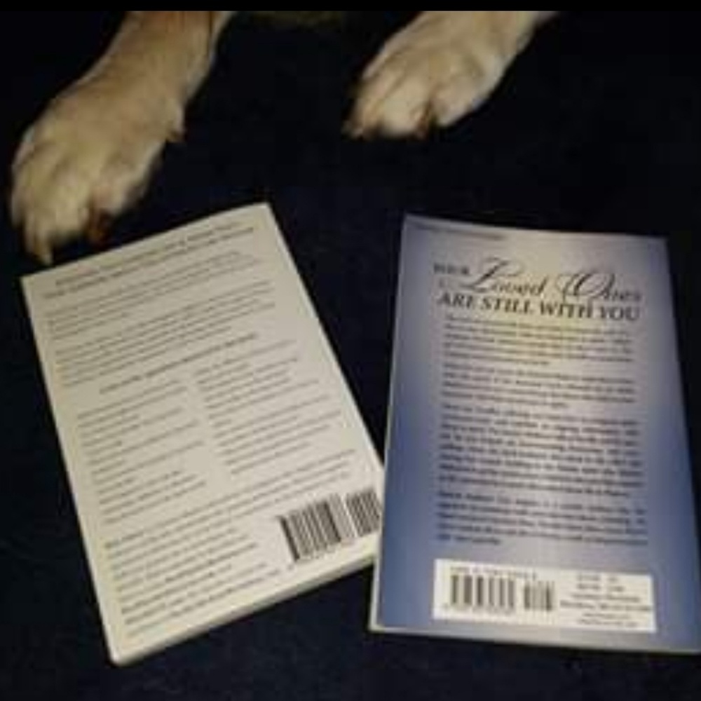 Two "Afterlife" Books 📚  📖 - Picture 2 of 2